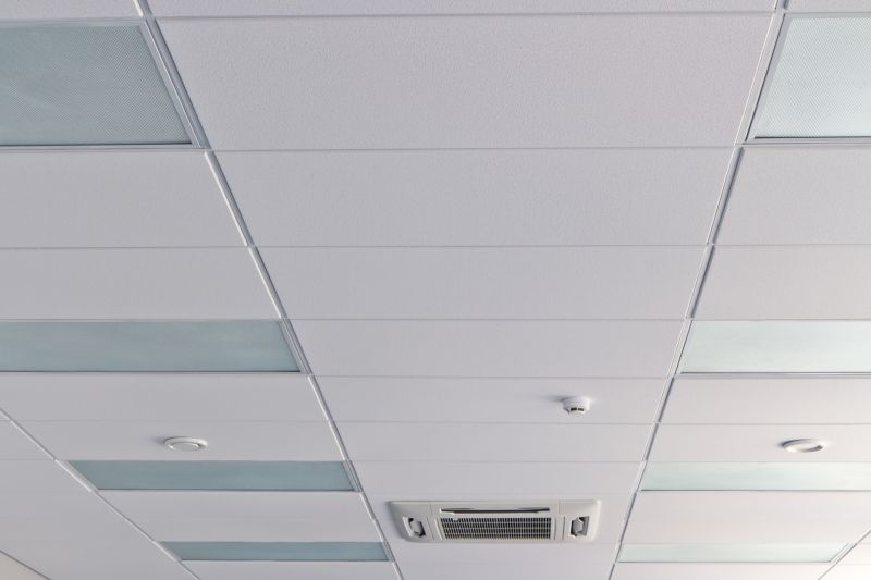 Ceiling Removal Service in Denver County, CO