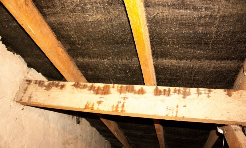 Crawl Space Remediation in Alpharetta, GA