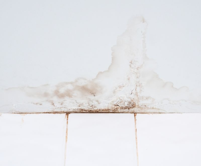 Leaking Ceiling Repair in Charleston, SC